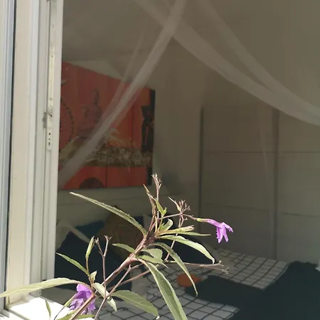 Yumbo Bed & Breakfast Maspalomas (Gran Canaria)